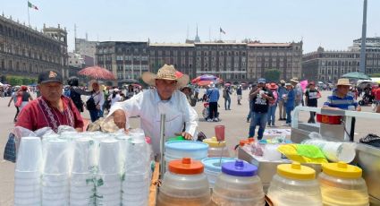 Zócalo peatonal: "Las banquitas están muy bonitas pero hace falta sombra"