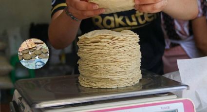 Aumento de hasta 60% en el precio del kilo de tortilla