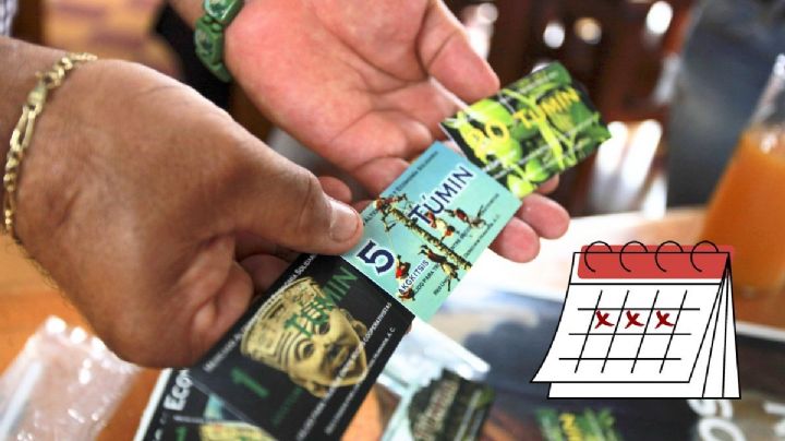 Esto se sabe de la Feria del Túmin en Papantla, al norte de Veracruz