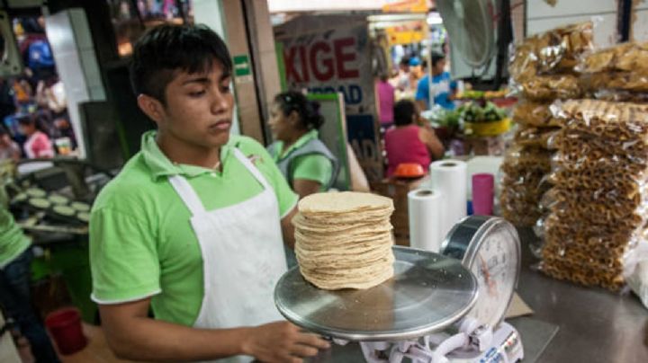 Se elimina exclusividad de GRUMA con tortillerías: Comisión Antimonopolio