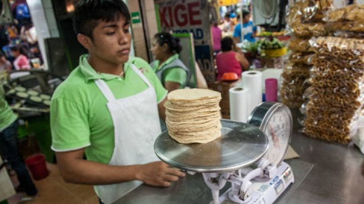 Tortillas piratas en México: Razones por las que 60% de las tortillerías no están reguladas