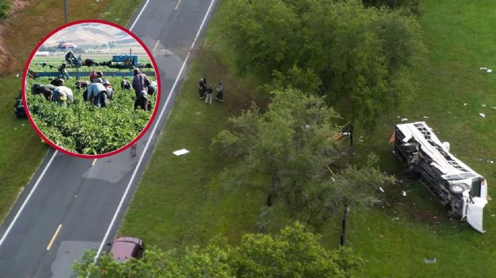Accidente en Florida: Esta es la compañía que contrató a los mexicanos