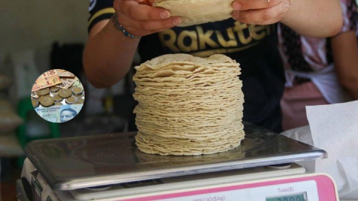 Aumento de hasta 60% en el precio del kilo de tortilla