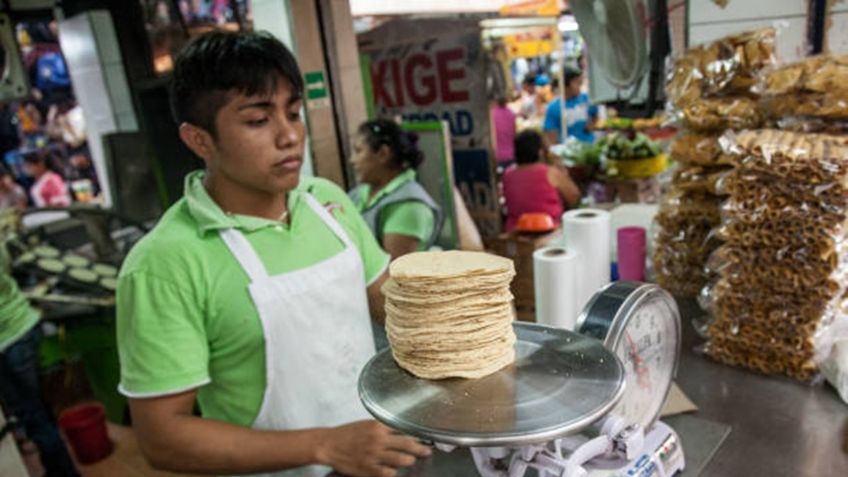 Se elimina exclusividad de GRUMA con tortillerías: Comisión Antimonopolio