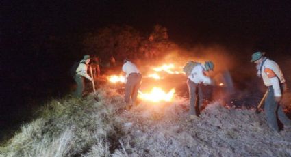 Emergencia en Alvarado por incendio masivo de pastizales; evacúan familias