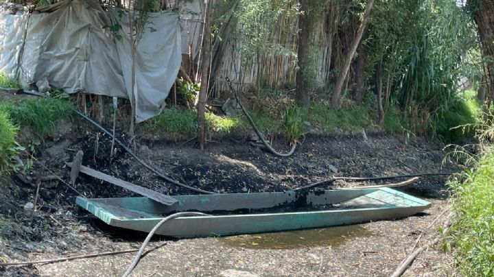 Pega sequía a productores de hortalizas de Xochimilco