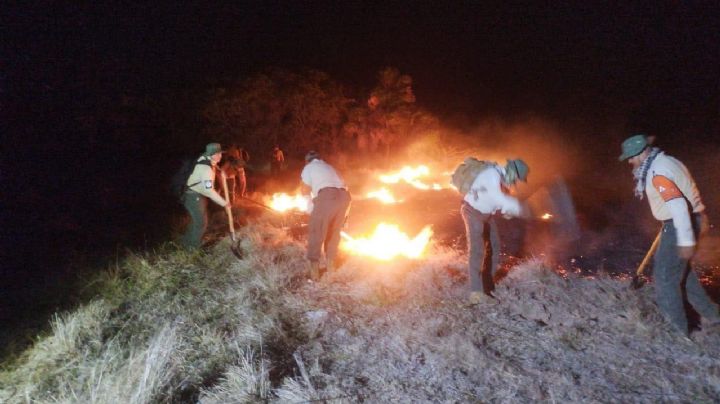 Emergencia en Alvarado por incendio masivo de pastizales; evacúan familias
