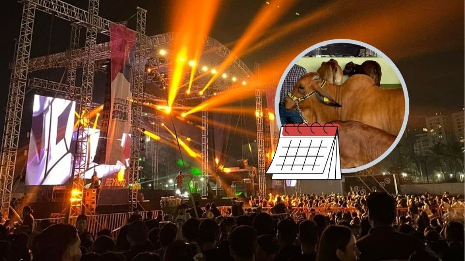 Ylang Ylang Veracruz: Estos son los conciertos del fin de semana en la Expo Feria