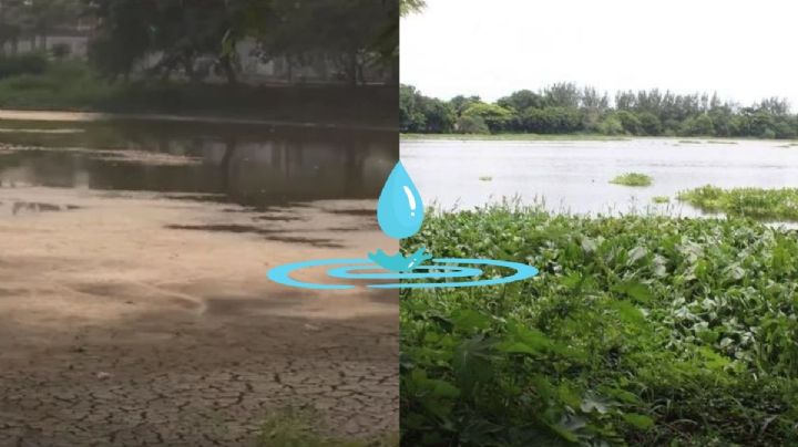 Por sequía, ciudadano compra dos pipas de agua para vertirlas en la Laguna de Lagartos en Veracruz