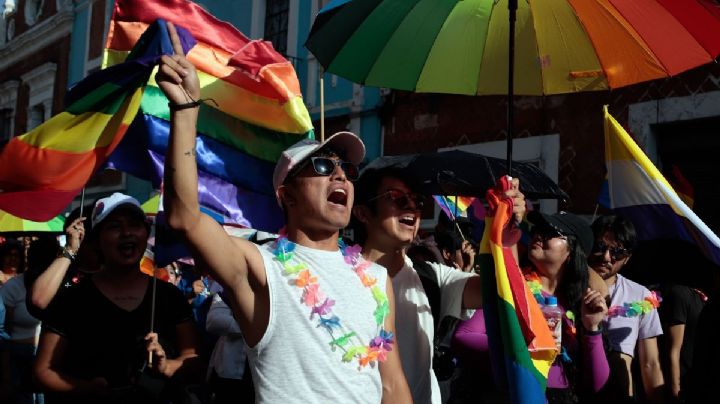 Morena “congeló” agenda legislativa de la comunidad LGBTIQ+ en Veracruz: activistas