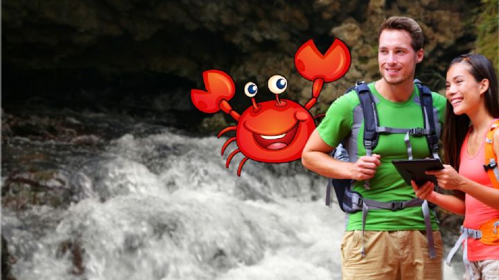 El manantial secreto de Hidalgo repleto de cangrejos que puedes visitar gratis