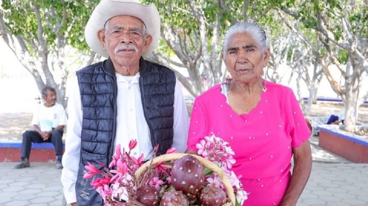 Conoce la tradición inspirada en la fruta del dragón que cumple medio siglo