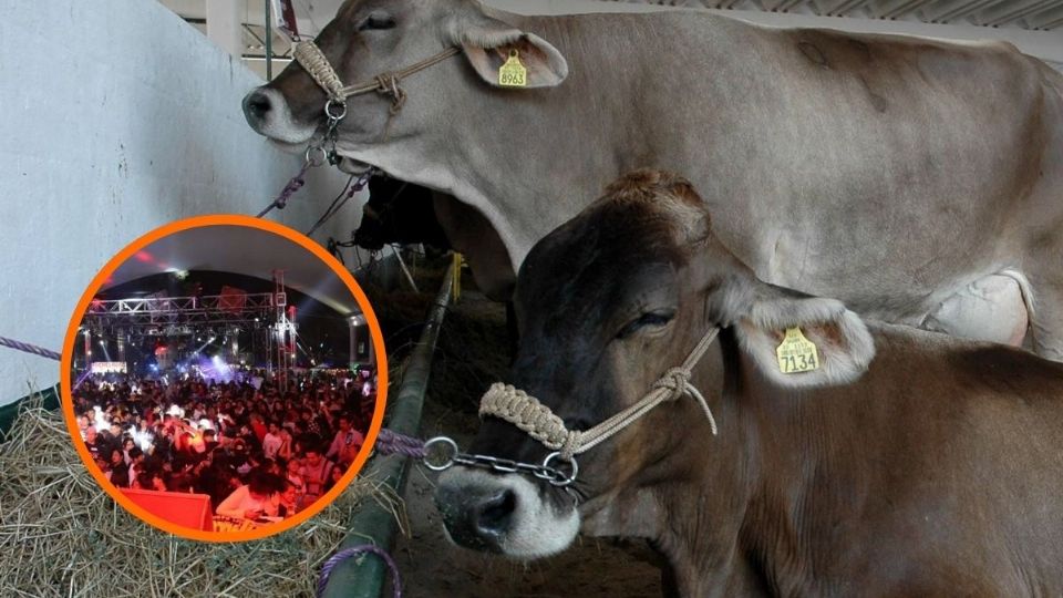 Expo Ganadera en Veracruz Boca del Ríp