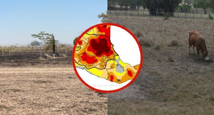Veracruz, tercer estado con más sequía en el país; suman 179 municipios