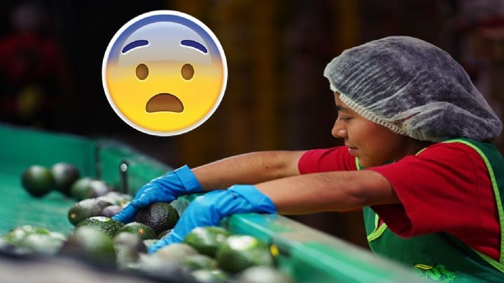 Estas son las carreras que ya NO debes estudiar; podrían desaparecer en cualquier momento