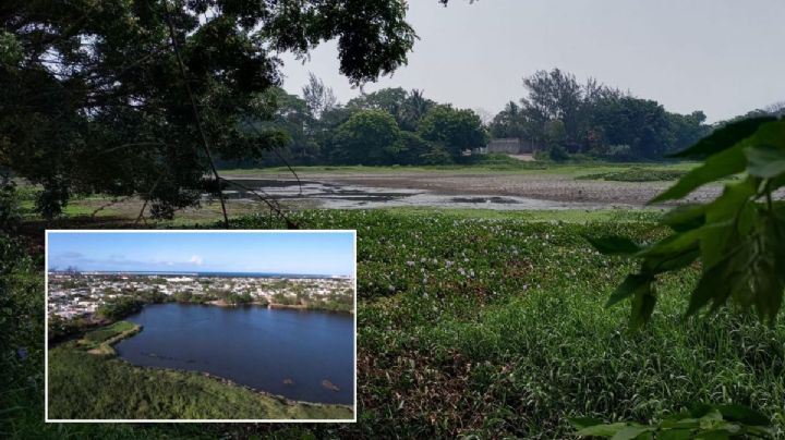 Vecinos de Veracruz se unen para rescatar Laguna de Lagartos; así luce seca con ola de calor