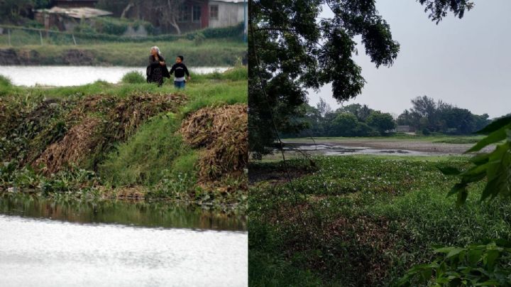 ¿Dragarán Laguna de Lagartos en Veracruz? Esto dijo Medio Ambiente