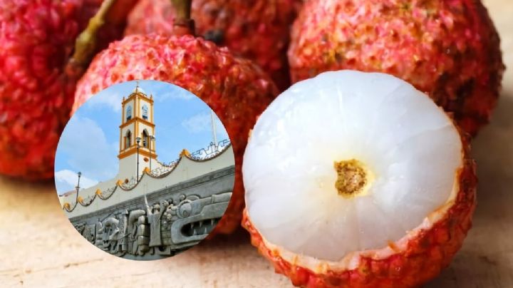 Papantla lidera en México con la mayor producción de lichi: INIFAP