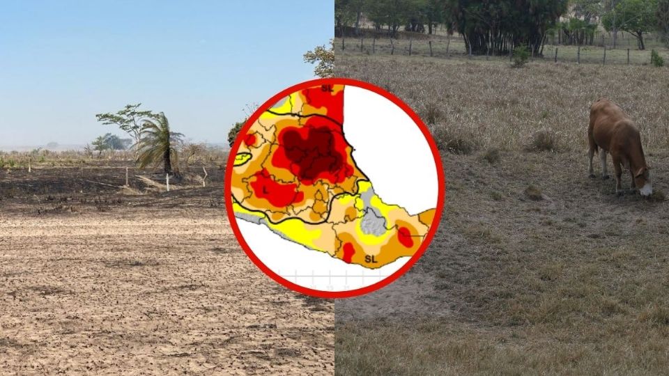 Veracruz, tercer estado con más sequía en el país; suman 179 municipios