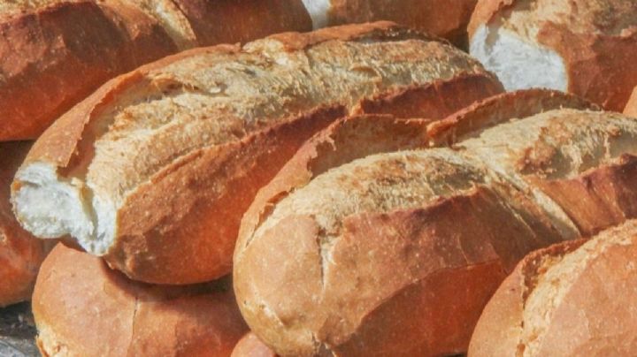 ¿Cómo devolverle la frescura a tus bolillos y panes duros? | TRUCO