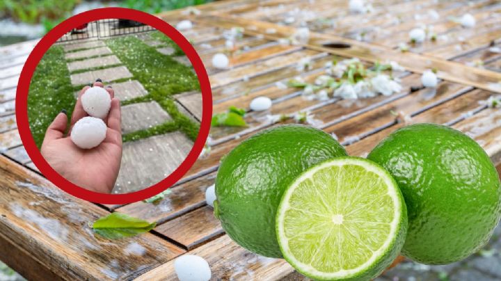 Sorprenden granizos del tamaño de un limón al sur de Pachuca I Imágenes