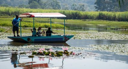 Córdoba te invita al encuentro con la naturaleza en la laguna “El Porvenir”