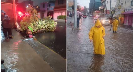 Lluvias y viento causan estragos en Nezahualcóyotl