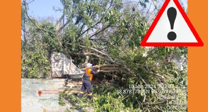 Coordina Protección Civil de Córdoba apoyo a la población por los efectos de surada