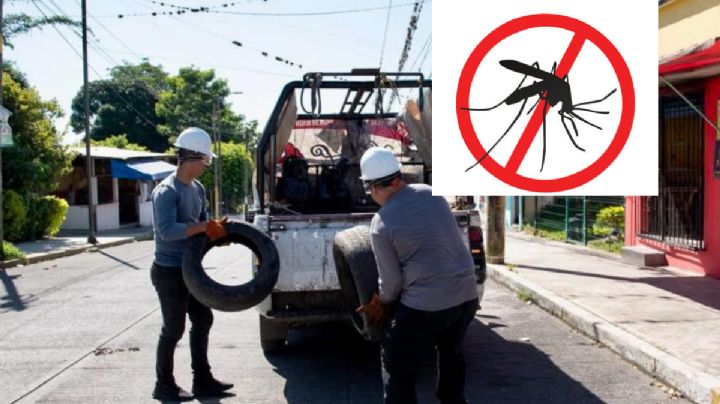 ¿Sabías que desde casa puedes prevenir el dengue?