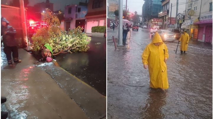 Lluvias y viento causan estragos en Nezahualcóyotl