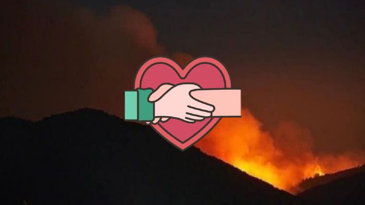Te decimos cómo donar en apoyo a los municipios afectados por incendios en Altas Montañas