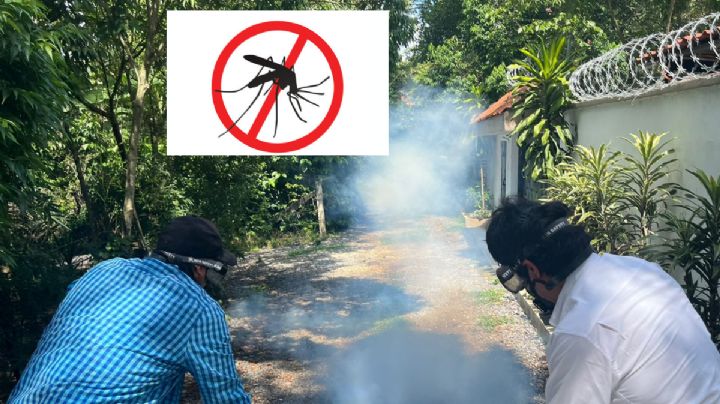 ¿Sabías que desde casa puedes evita el dengue, zika y chikungunya eliminando criaderos de mosco?