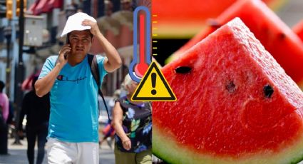 Calor se intensificará en Veracruz: 7 frutas y verduras que debes comer