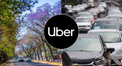 ¿Uber en Xalapa para pasajeros? Esto se sabe