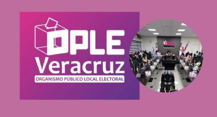 OPLE Veracruz aprueba Programa Anual de Incentivos 2024