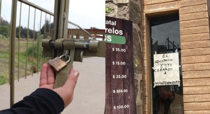 El ajolotario del Parque Sierra: la obra millonaria que cerró a un año y medio de su inauguración