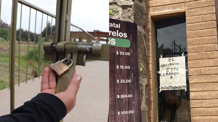 El ajolotario del Parque Sierra: la obra millonaria que cerró a un año y medio de su inauguración