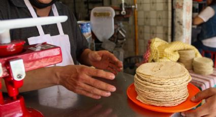 Así se han infiltrado los cárteles en el negocio de la tortilla: Washington Post