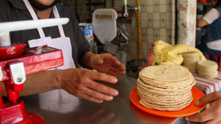 Así se han infiltrado los cárteles en el negocio de la tortilla: Washington Post
