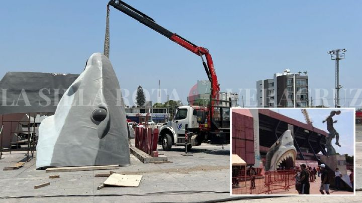 Cabezas de tiburón del estadio Luis Pirata Fuente son movidas por reconstrucción; este sería su destino