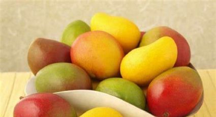 ¿Cómo elegir un mango perfecto? | TIPS