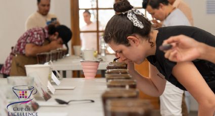 En Córdoba se lleva cabo el 11° Certamen Taza de Excelencia México 2024