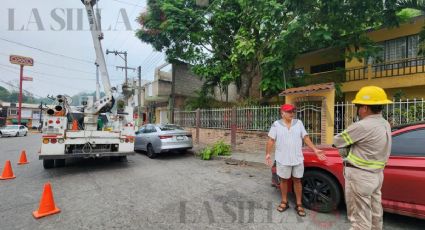 Estas colonias de Papantla llevan más de 12 horas sin energía eléctrica