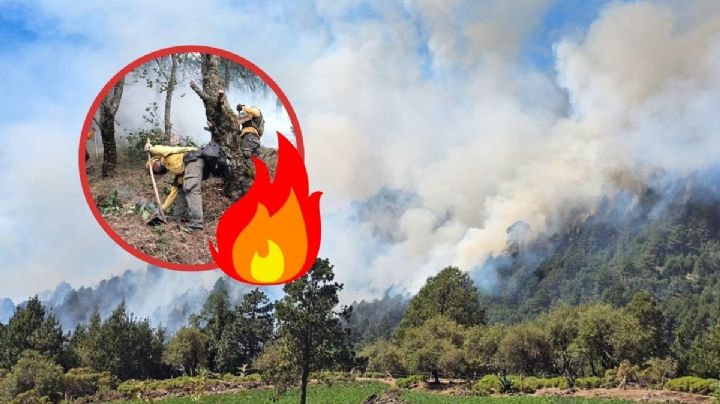 Hay 23 incendios forestales activos en el estado de Veracruz; esto se sabe