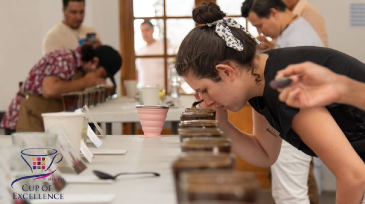 En Córdoba se lleva cabo el 11° Certamen Taza de Excelencia México 2024