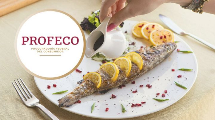 Sardinas que sí son sardinas: Estas son las marcas con más proteína según Profeco