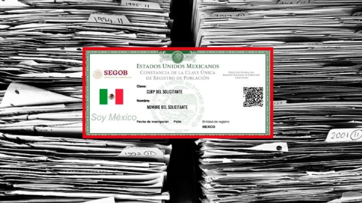 Así debes actualizar tu CURP gratis y en línea