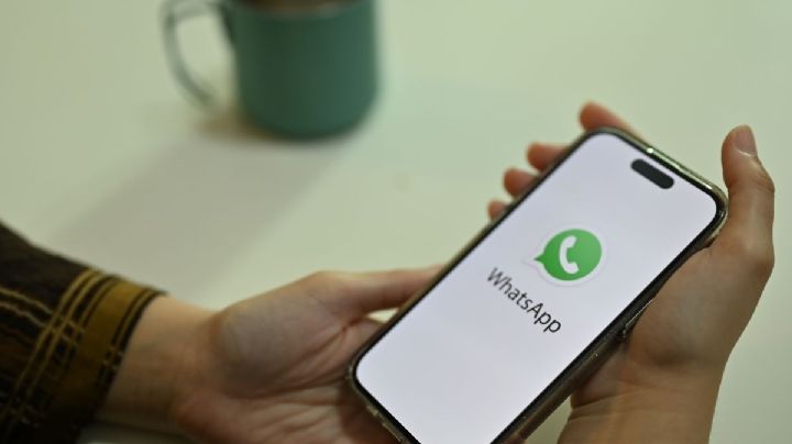 WhatsApp: Así puedes descargar los nuevos emojis que se volverán tendencia a partir de junio 2024