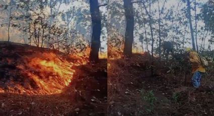 Van 3 incendios forestales en Tejupilco y Luvianos