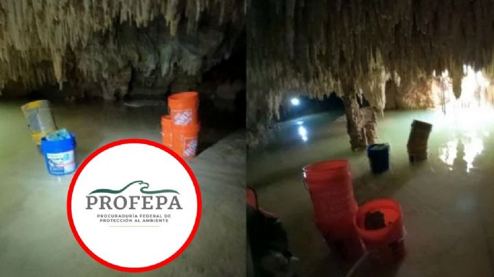 Tren Maya sí causó daños ambientales en Tramo 5, confirma la 4T